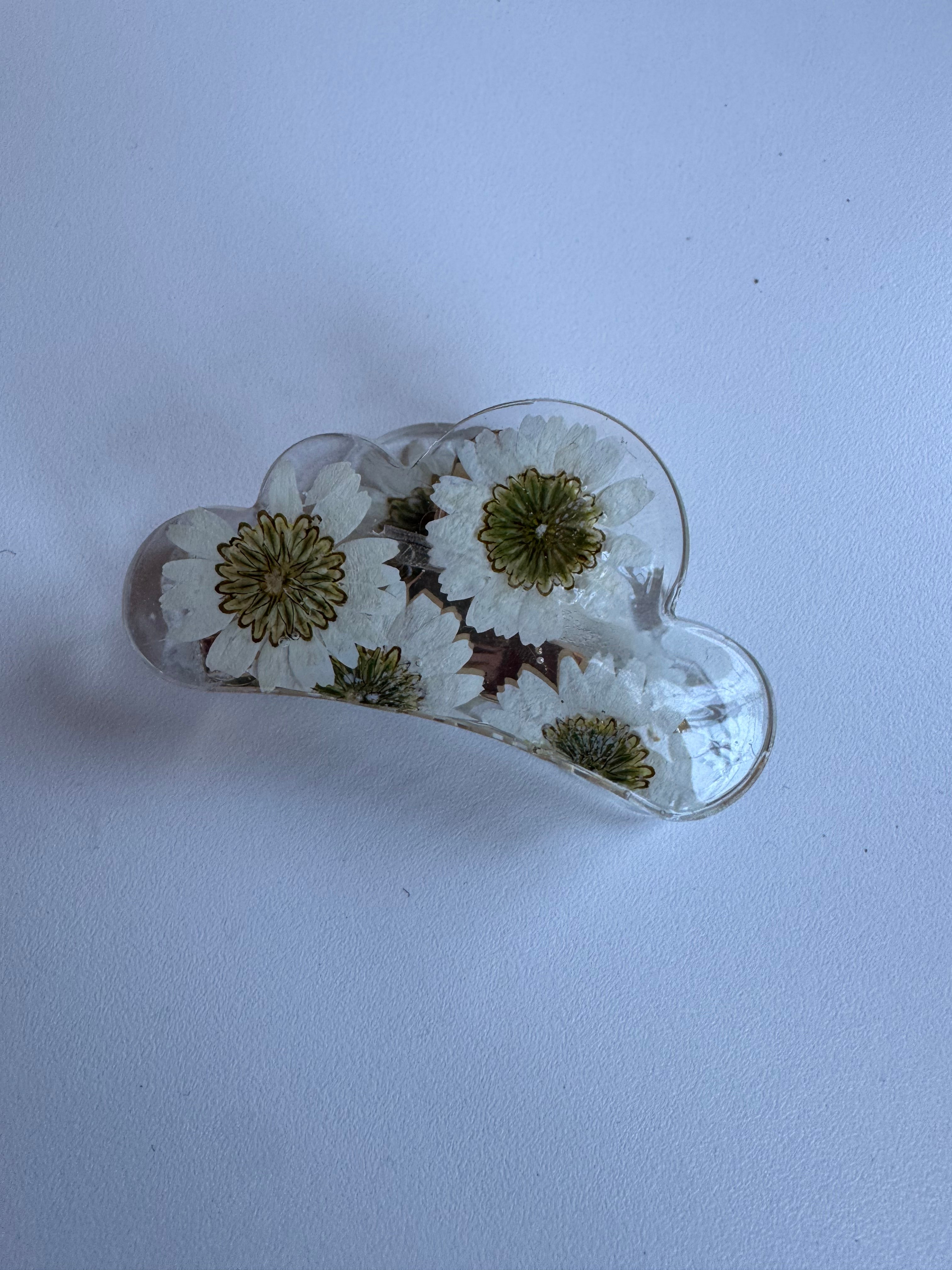 Échantillon - Pince en fleurs séchées sur résine marguerite