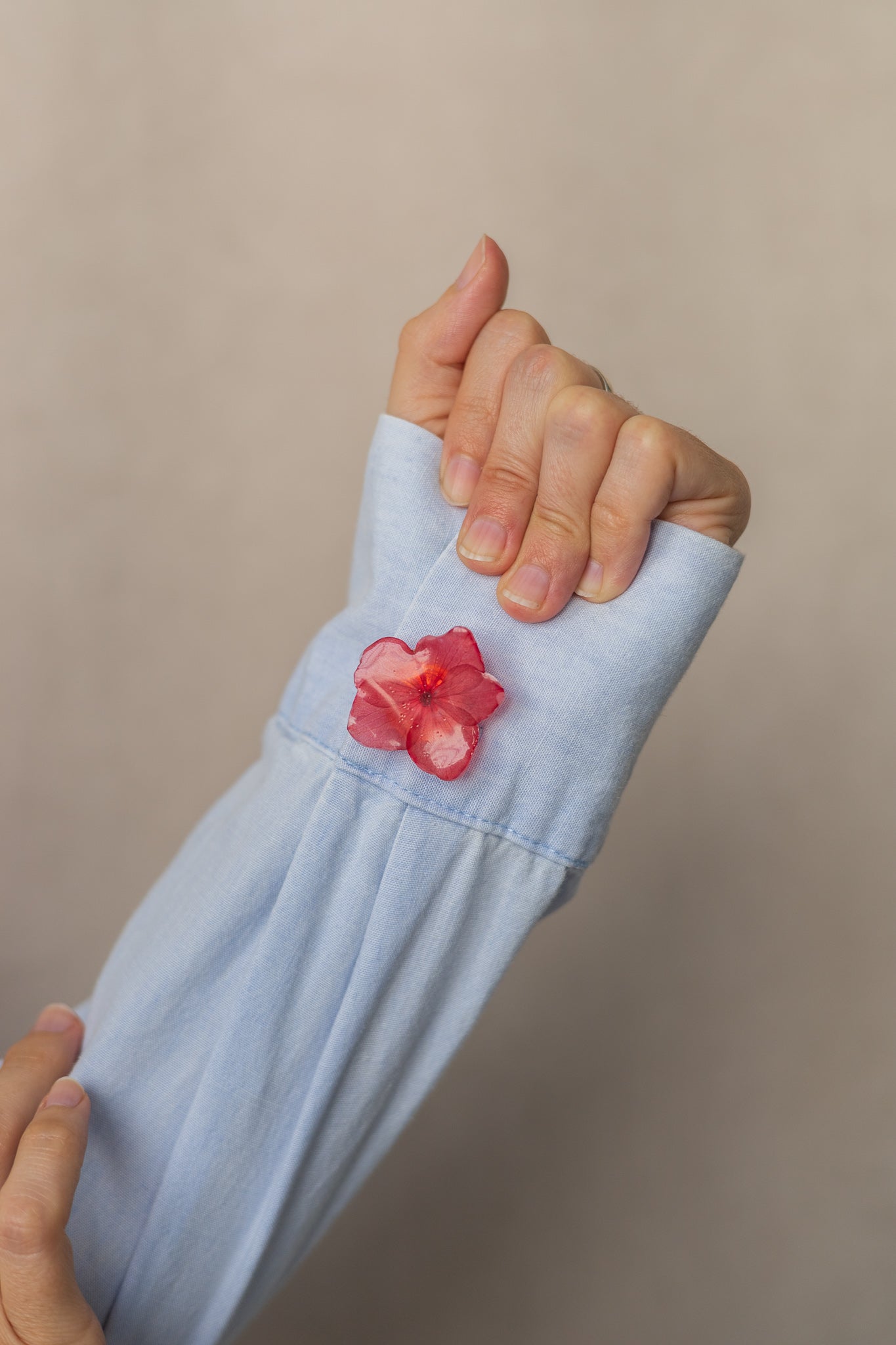 Couvre-bouton de chemise en fleur séchée