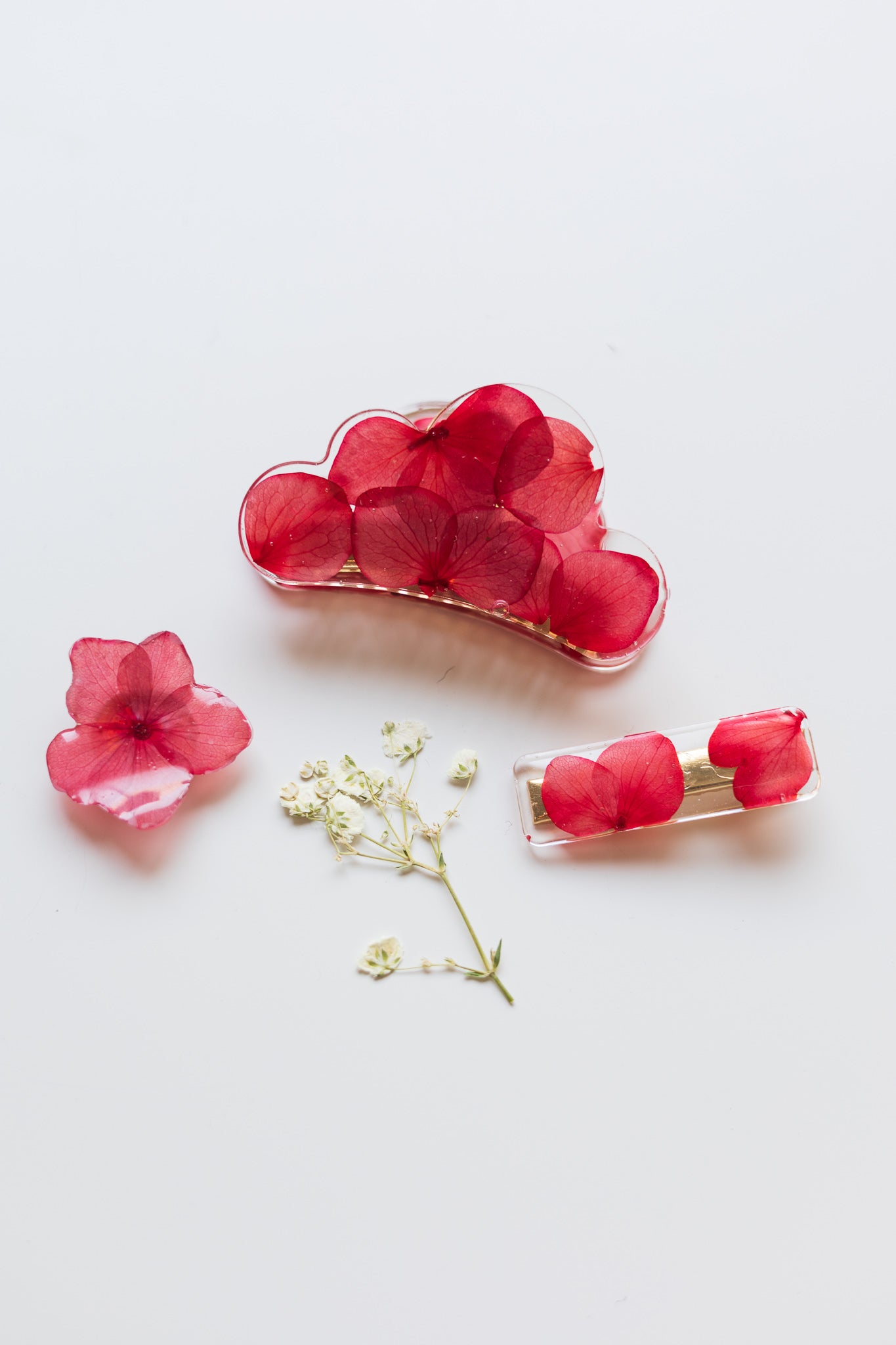 Pince nuage avec fleurs séchées