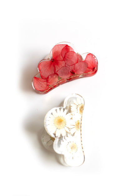 Pince nuage avec fleurs séchées