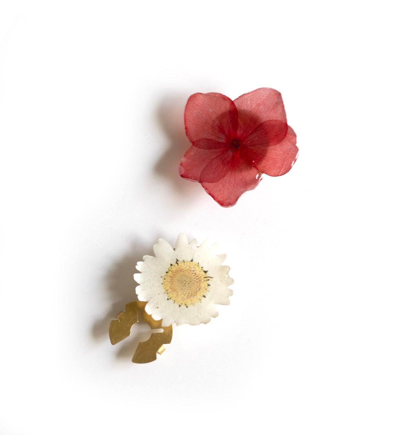 Couvre-bouton de chemise en fleur séchée