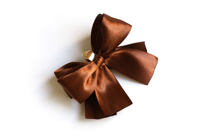 Double bow on gold clip