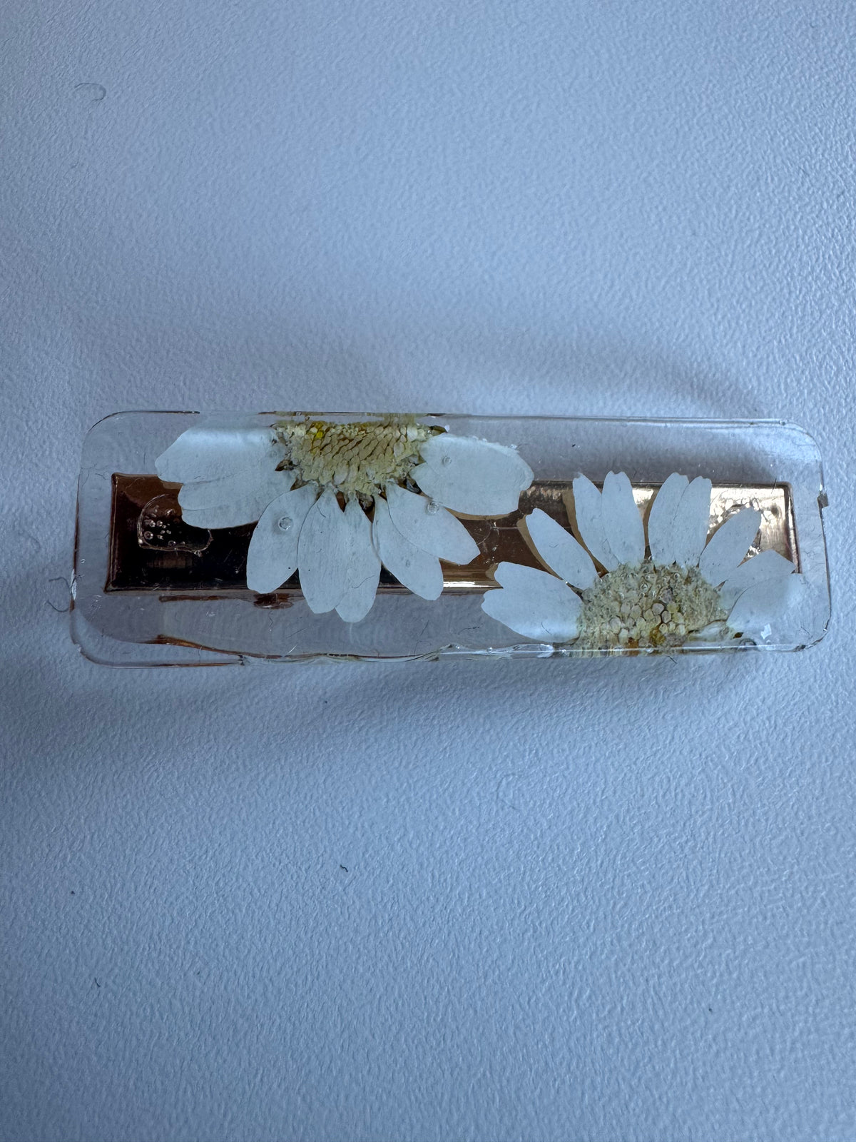 Échantillon - Barrette rectangulaire marguerites séchées